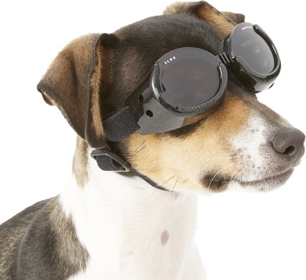 Discontinued DOGGLES ILS Dog Goggles, Metallic Black, XSmall