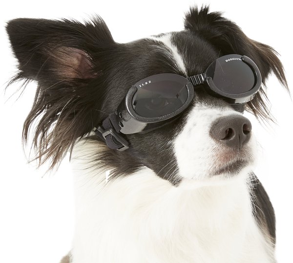 Doggles ILS Dog Goggles, Small, Metallic Black slide 1 of 7
