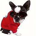 Doggles ILS Dog Goggles, Large, Metallic Black