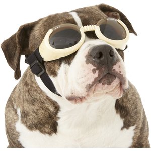 Doggles ILS Dog Goggles, Chrome, Large
