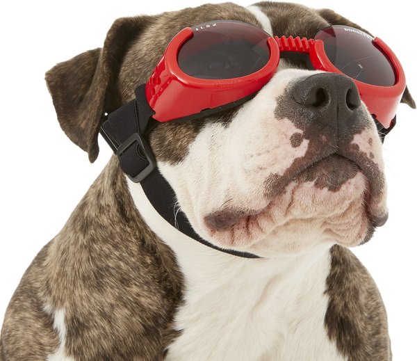 Doggles ILS Dog Goggles, Red, Large slide 1 of 7