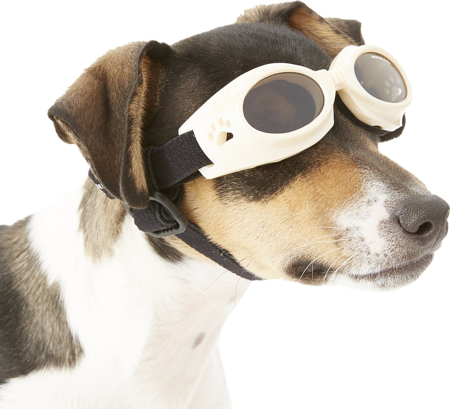 what are dog goggles for