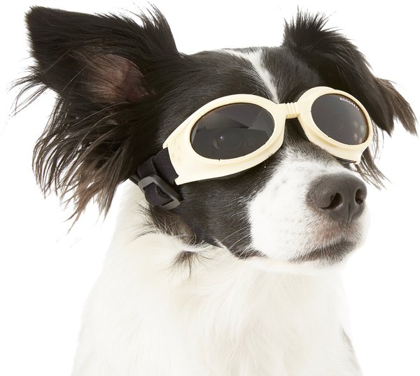 Doggles Originalz Dog Goggles, Chrome, Small slide 1 of 7