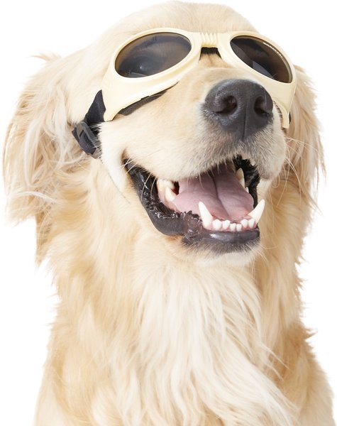 Doggles Originalz Dog Goggles, Chrome, Medium slide 1 of 7