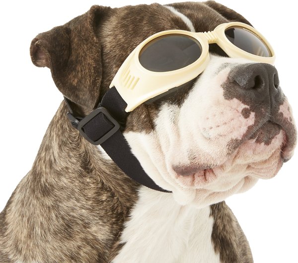 Doggles Originalz Dog Goggles, Chrome, Large slide 1 of 7