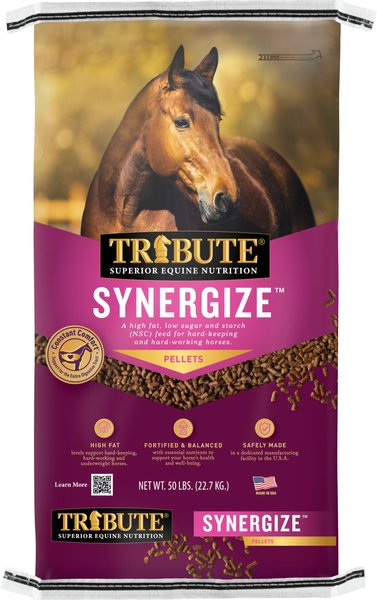 TRIBUTE EQUINE NUTRITION Synergize High Fat Low Sugar Starch Horse Feed 50 lb bag Chewy