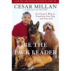 Be the Pack Leader: Use Cesar's Way to Transform Your Dog . . . & Your Life