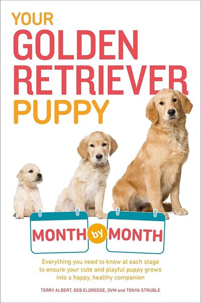 Your Golden Retriever Puppy Month by Month slide 1 of 2
