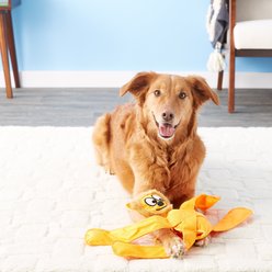 Doggles Pentapulls Hedgehog Dog Toy slide 2 of 2