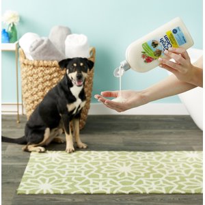 PetAg Fresh 'N Clean Oatmeal 'N Baking Soda Dog Shampoo, Tropical Fresh Scent, 32-oz bottle