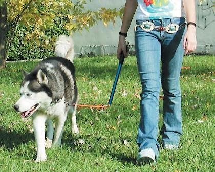 Walky Dog Plus Bicycle Exercise Dog Leash