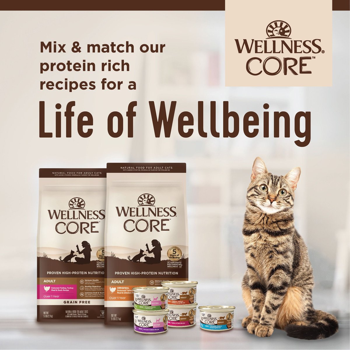 Wellness core natural grain free wet canned cat outlet food