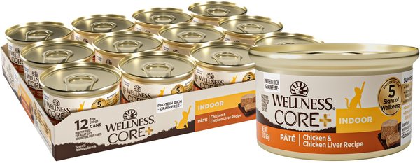 wellness core grain free indoor cat food