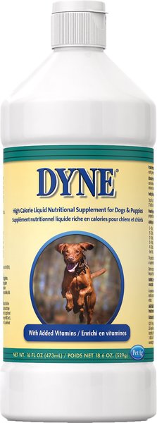 dyne high calorie liquid dietary supplement