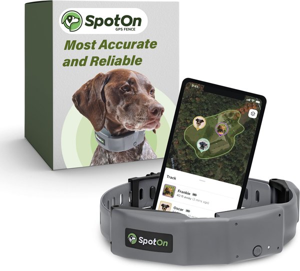 SpotOn Fence GPS Dog Fence Collar Grey Black Medium MOMN002297