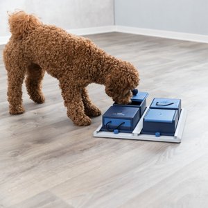 24 Best Dog Puzzle Toys to Entertain Your Pup 2023 — Dog Puzzles