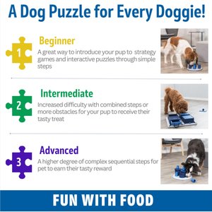 20 Best Dog Puzzles of 2023