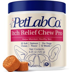 Petlab co dental wash best sale