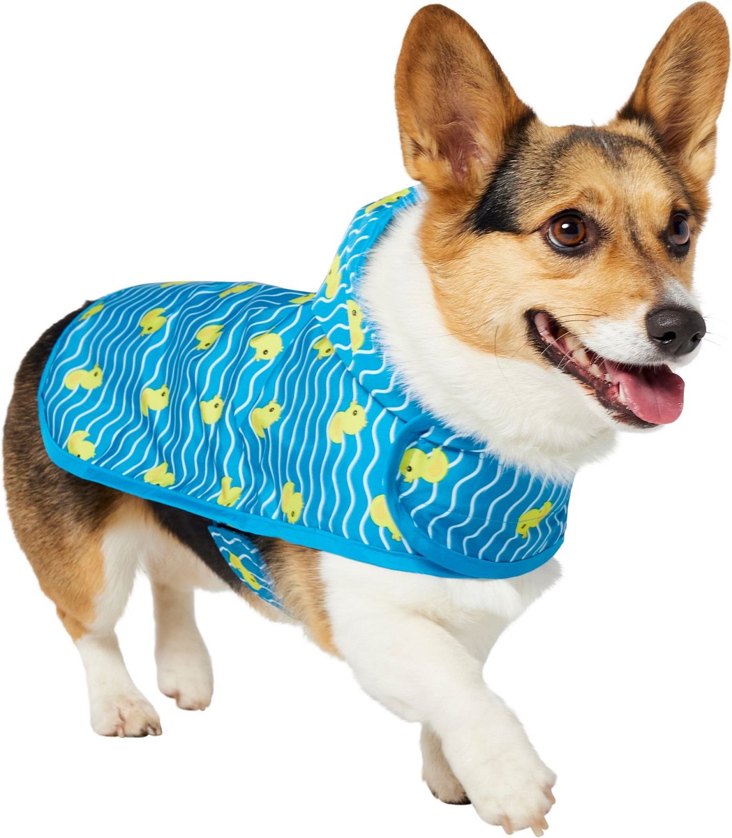 FRISCO Lightweight Rubber Ducky Dog Raincoat, Blue, Medium