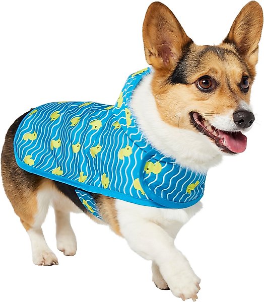 Frisco Rubber Ducky Dog Raincoat, Medium slide 1 of 8