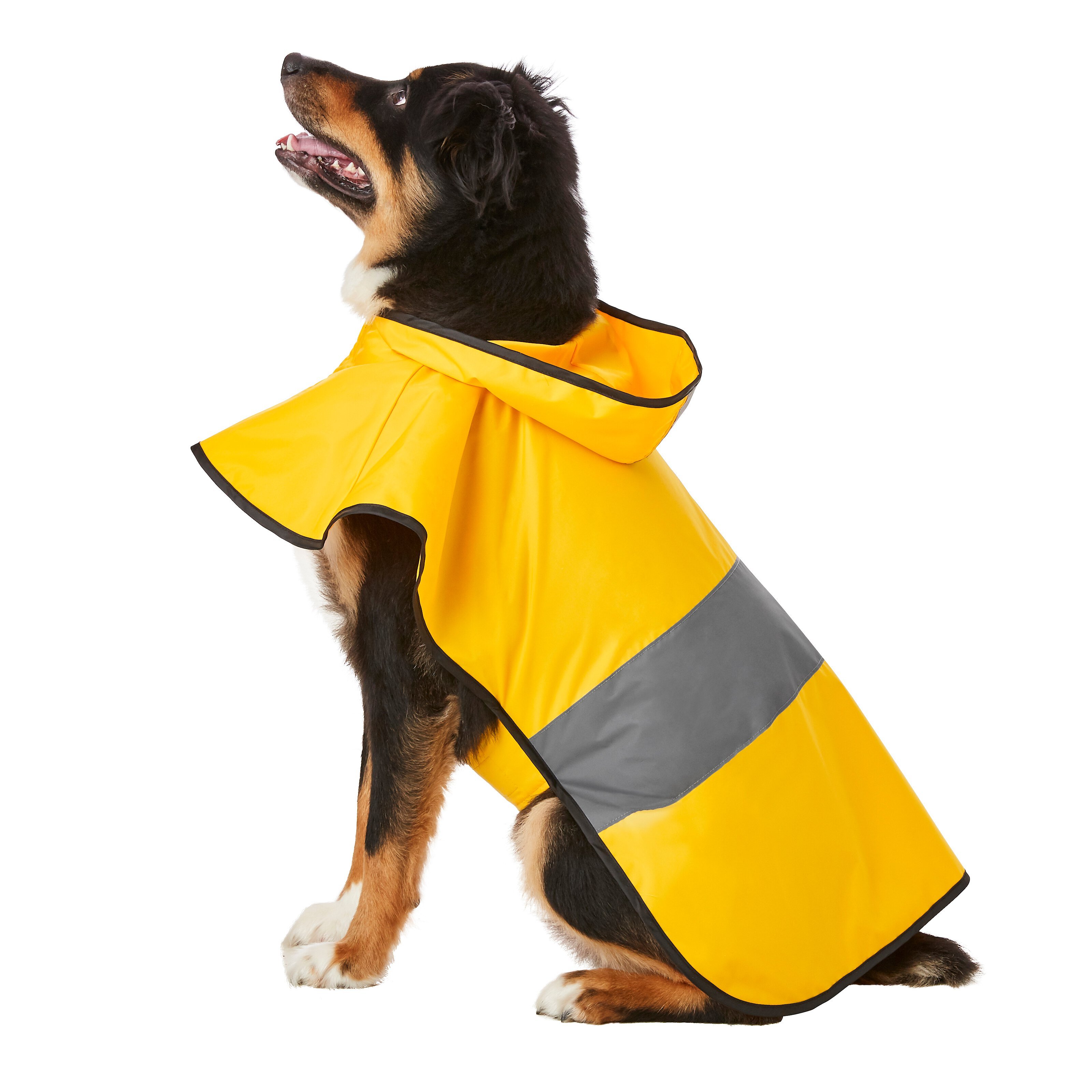 how-do-i-measure-my-dog-for-a-raincoat-chewy