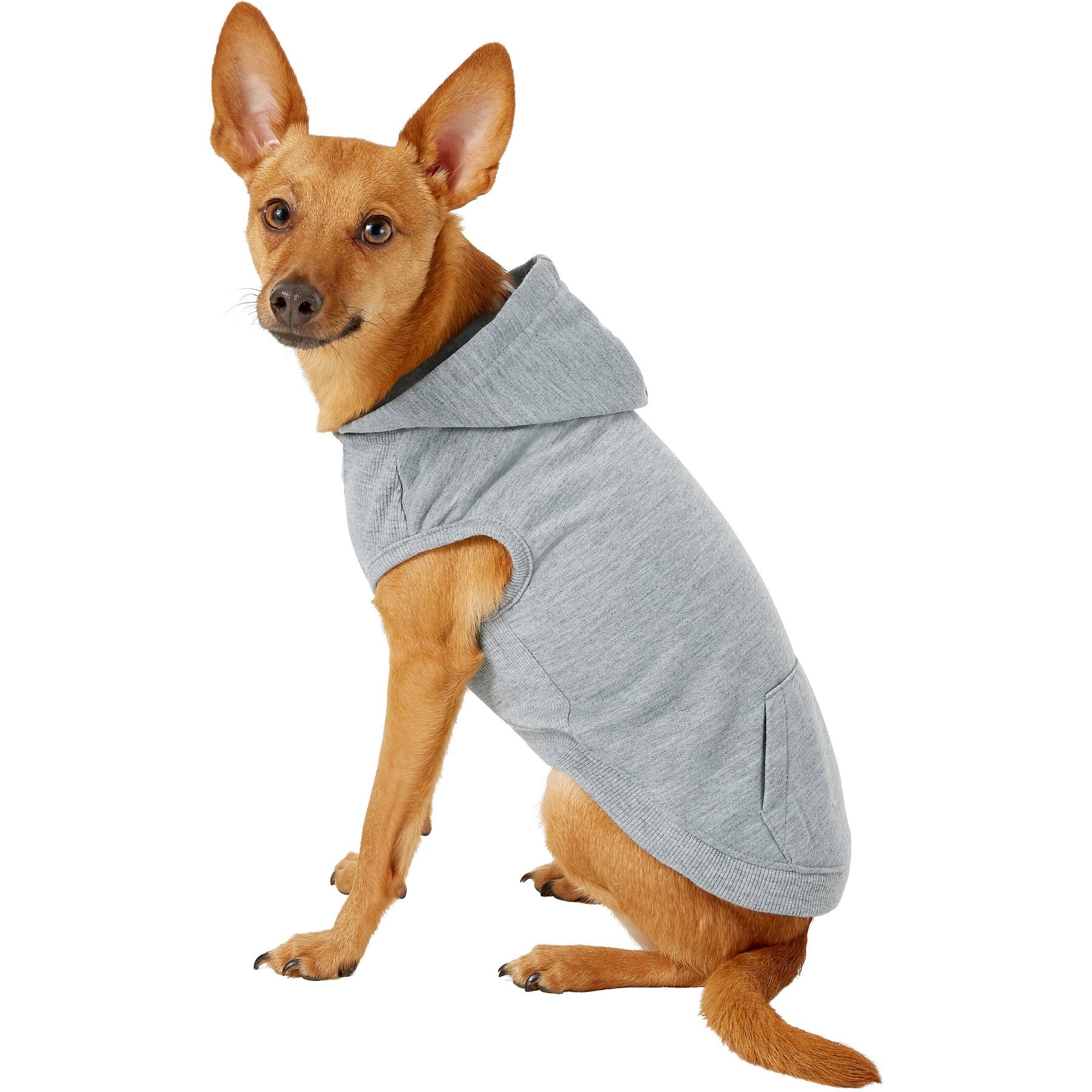 Frisco dog & cat basic hoodie best sale