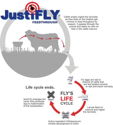 Show full view: Champion Animal Health Feedthrough Fly Control Cattle Supplement, 12-oz bag slide 2 of 8