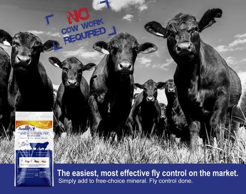 Show full view: Champion Animal Health Feedthrough Fly Control Cattle Supplement, 12-oz bag slide 5 of 8