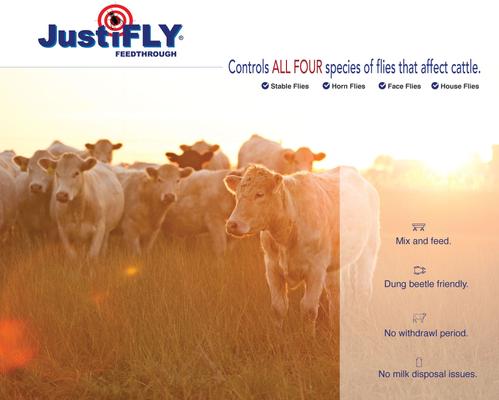 Show full view: Champion Animal Health Feedthrough Fly Control Cattle Supplement, 12-oz bag slide 7 of 8