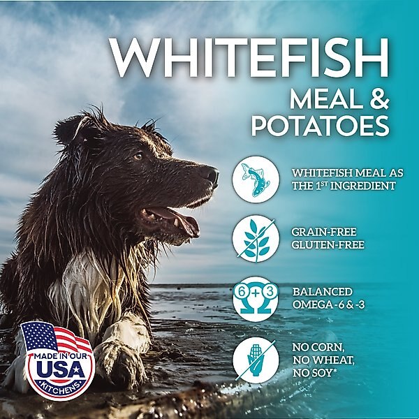 WHOLESOMES Grain Free Whitefish Meal Potatoes Formula Dry Dog Food WHOLESOMES Grain Free Whitefish Meal Potatoes Formula Dry Dog Food
