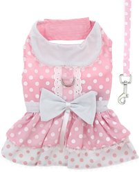 Doggie Design Polka Dot & Lace Dog Dress Set with Matching Leash, Large