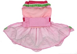 Doggie Design Watermelon Dog Dress with Matching Leash, Large slide 2 of 4