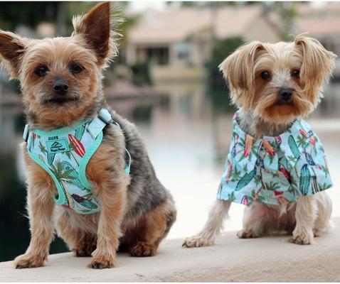 Show full view: Doggie Design Hawaiian Surfboard & Palms Camp Shirt, Large slide 4 of 7