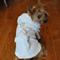 Show in main carousel: Doggie Design Luxury Dog Bathrobe, Small, Gold Crown slide 2 of 5