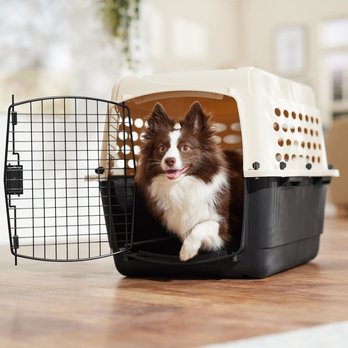 Frisco Plastic Dog Kennel, Almond and Black