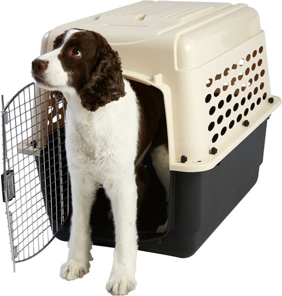 Frisco Plastic Dog & Cat Kennel, Almond & Black, Intermediate slide 1 of 10