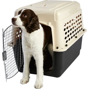 Frisco Plastic Dog & Cat Kennel, Almond & Black, Intermediate