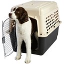 Frisco Plastic Dog & Cat Kennel, Almond & Black, Intermediate