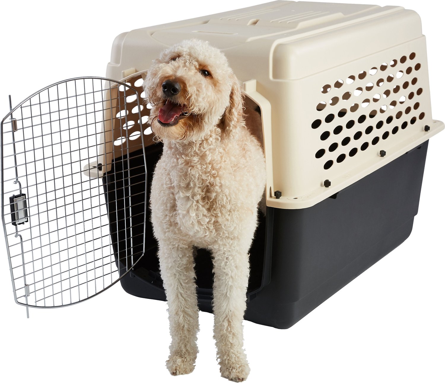 FRISCO Plastic Dog & Cat Kennel, Almond & Black, X-Large - Chewy.com