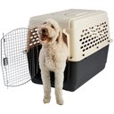 Frisco Plastic Dog & Cat Kennel, Almond & Black, X-Large