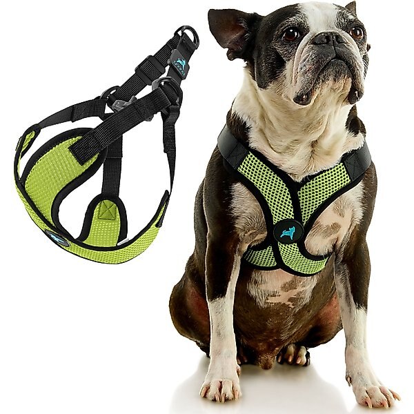 Gooby comfort x mesh dog harness turquoise large 17 to 22 5 in chest