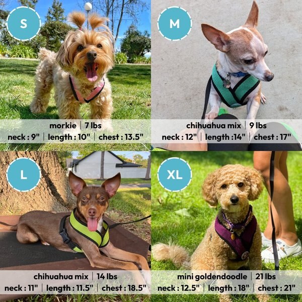 Gooby comfort x mesh dog harness turquoise large 17 to 22 5 in chest