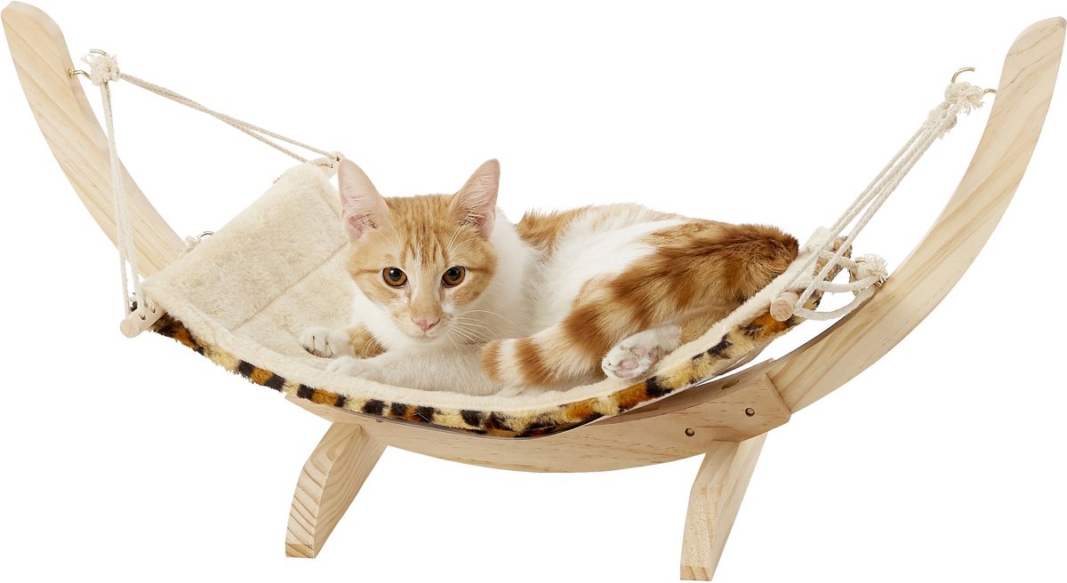 Pet parade 2025 pet hammock