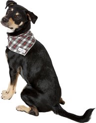 Lucy & Co. Dog & Cat Bandana, Small, The Parker