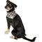 Show in main carousel: Lucy & Co. Dog & Cat Bandana, Small, The Parker slide 1 of 7