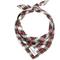 Show in main carousel: Lucy & Co. Dog & Cat Bandana, Small, The Parker slide 3 of 7