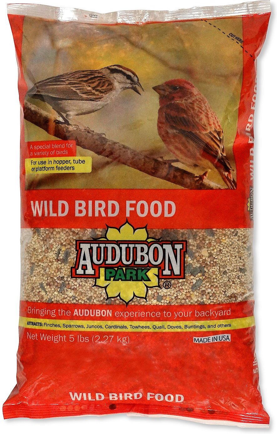 Birds food. Food for Birds.