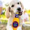 Show in main carousel: Pets First Bottle Squeaky Dog Chew Toy, Florida slide 4 of 7