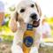 Show in main carousel: Pets First Bottle Squeaky Dog Chew Toy, Golden State Warriors slide 2 of 6