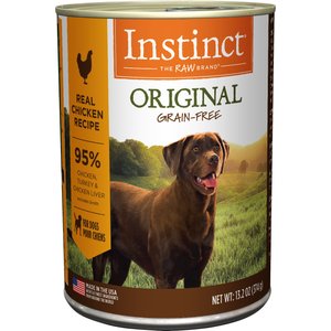 what is the healthiest natural dog food